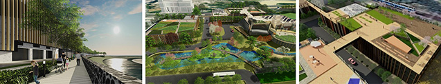 石湖墟淨水設施「共享空間」河畔步道 (左)、生態園 (中) 及觀鳥區 (右) 構想圖
