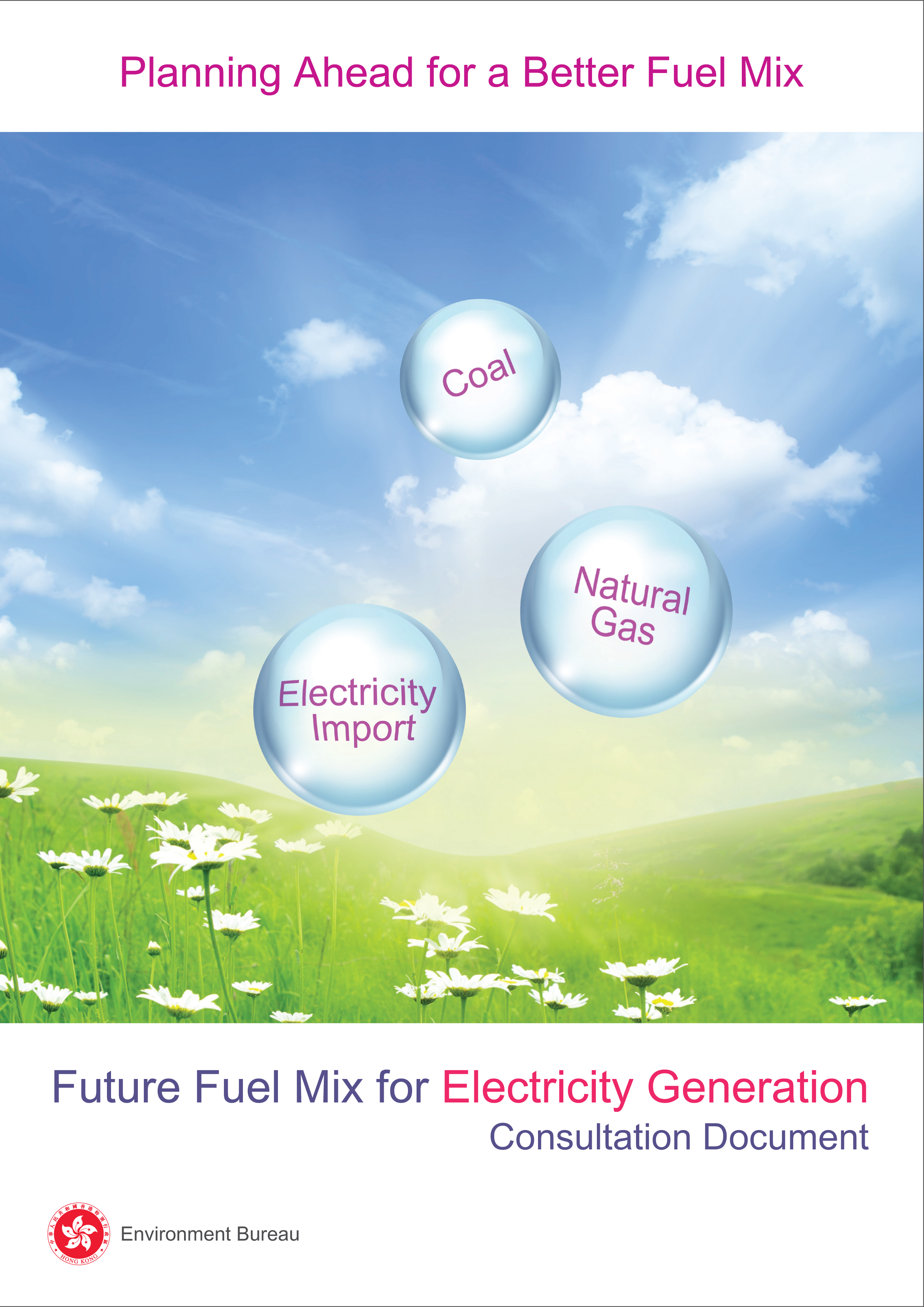 Public Consultation on Future Fuel Mix for Electricity Generation