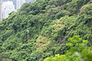 寶雲道斜坡研習徑