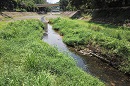 下林村河及麻笏河