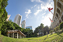 天文台總部林地