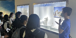 Visit - Museum of Climate Change