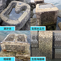 在馬料水先行先試生態海岸線，設計了四種組件，我稱之為生態海岸「四寶」，歡迎魚螺蟹藻等海岸物種多多留戀！