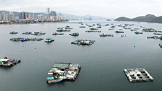 新管道排放口更遠離沙頭角海的魚類養殖區，將位於水較深及水流較急的海域。整體而言，項目將加強保護此鄉郊水域的水質，改善環境。